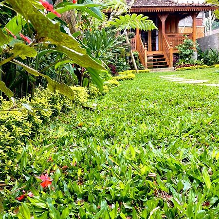 Jane'S House & Spa Bedugul Bali Pacung Exterior photo
